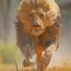 Lion Running paint by numbers