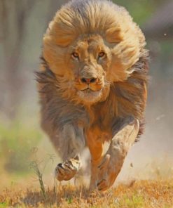 Lion Running paint by numbers