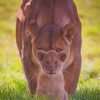 Lioness With Her Baby paint by numbers