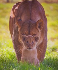 Lioness With Her Baby paint by numbers