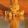 Lions in Serengeti National Park paint by numbers