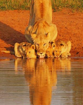 Lions in Serengeti National Park paint by numbers