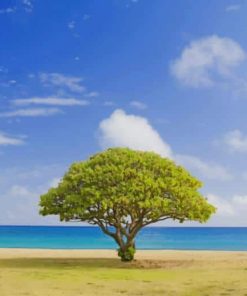 Lone Tree In The Beach paint by numbers