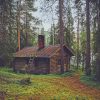 lonely cabin in woods paint by numbers