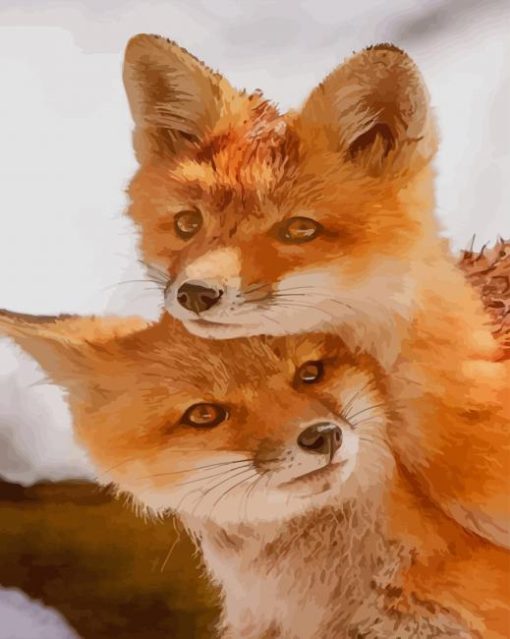 Lovely Couple Fox paint by numbers