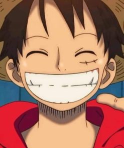 Luffy Smiling One Piece paint by numbers