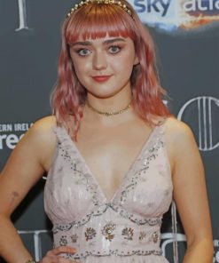 maisie williams paint by number