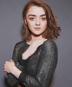 maisie williams portrait paint by numbers