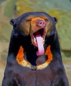 Malayan Sun Bear paint by numbers