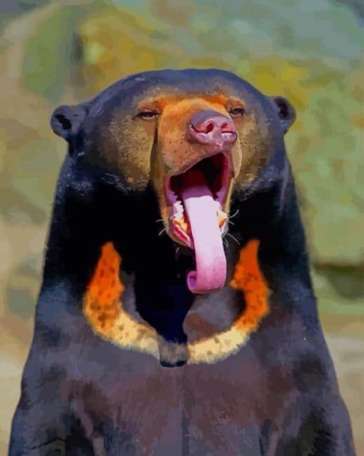 Malayan Sun Bear paint by numbers