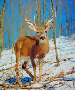 Male White Tailed Deer paint by numbers