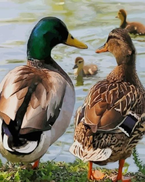Mallard Duck paint by numbers
