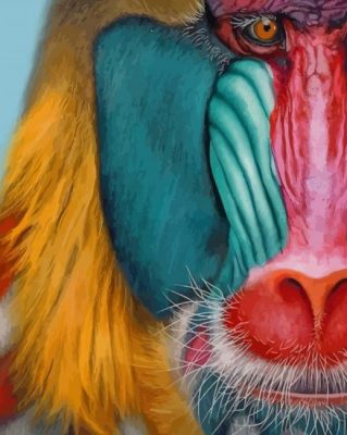 Mandrill Monkey paint by numbers