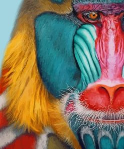 Mandrill Monkey paint by numbers