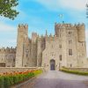 Medieval Castles in Ireland paint by numbers