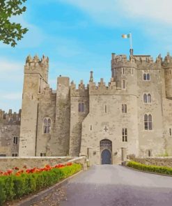 Medieval Castles in Ireland paint by numbers