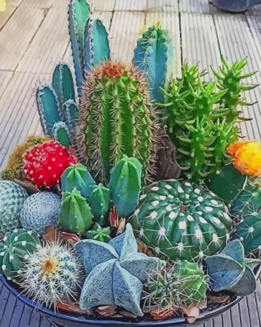 Mini Cactus Garden paint by numbers