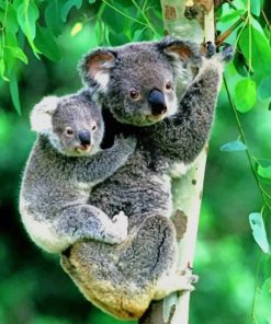 Mom and Her Little Baby koala paint by numbers