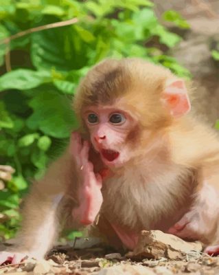 Monkey With Crazy Face paint by numbers