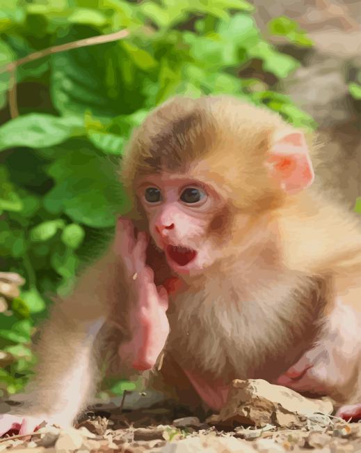 Monkey With Crazy Face paint by numbers