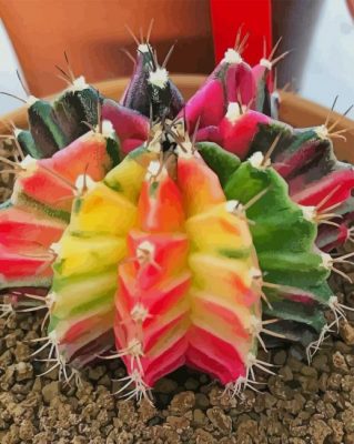 Moon Cactus paint by numbers