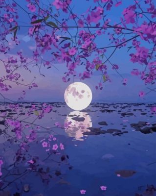 Beautiful Moon Reflection paint by number
