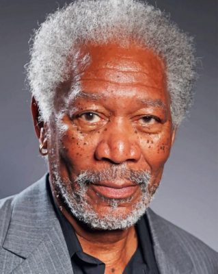 Morgan Freeman Portrait paint by numbers