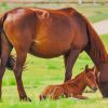 Mum House and Her Baby paint by numbers