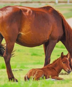 Mum House and Her Baby paint by numbers