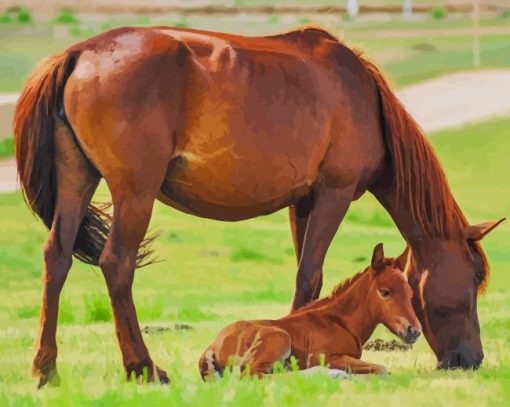 Mum House and Her Baby paint by numbers