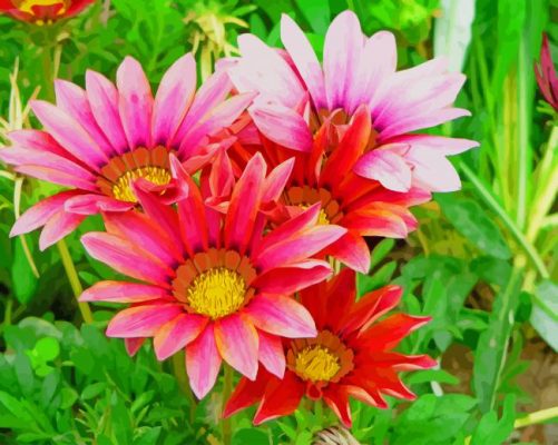 Natural Pink Flowers paint by numbers