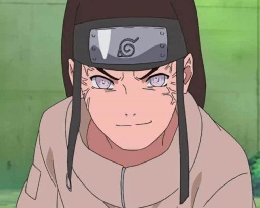 Neji Hyuga Naruto paint by numbers