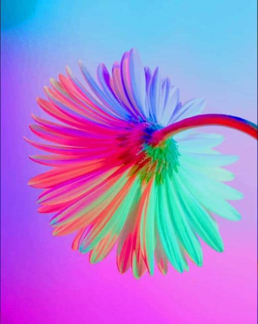 neon flower paint by number