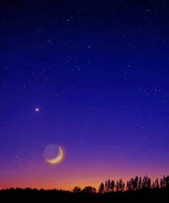 night Crescent moon sky paint by number