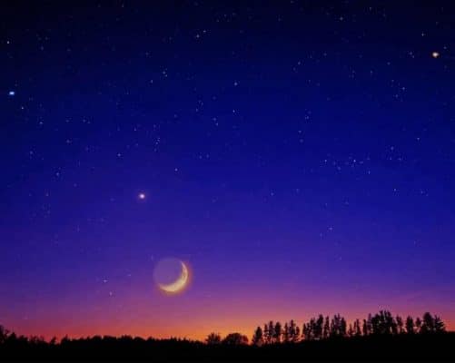 night Crescent moon sky paint by number