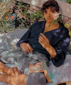 Noah Centineo paint by numbers