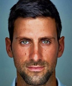 Novak Djokovic Paint By Numbers