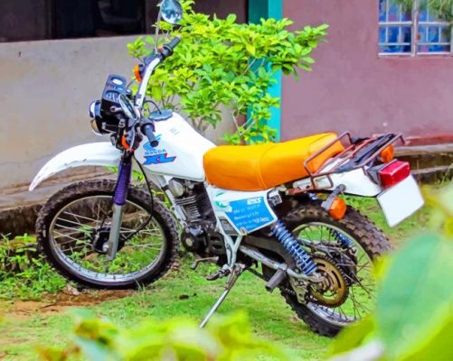 Blue Old Motorcross paint by numbers