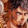One Piece Character paint by numbers
