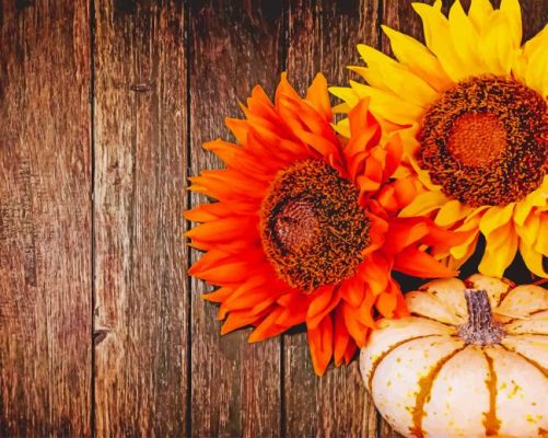 Orange And Yellow Sun Flowers painting by numbers