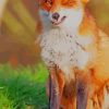 Cute Orange Fox paint by numbers