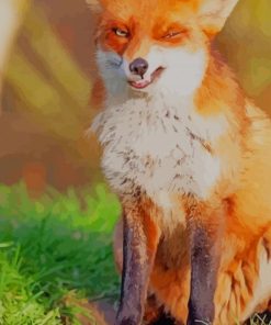 Cute Orange Fox paint by numbers