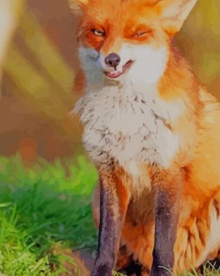 Cute Orange Fox paint by numbers