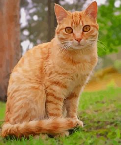 Orange Tabby Cat Sitting paint by numbers