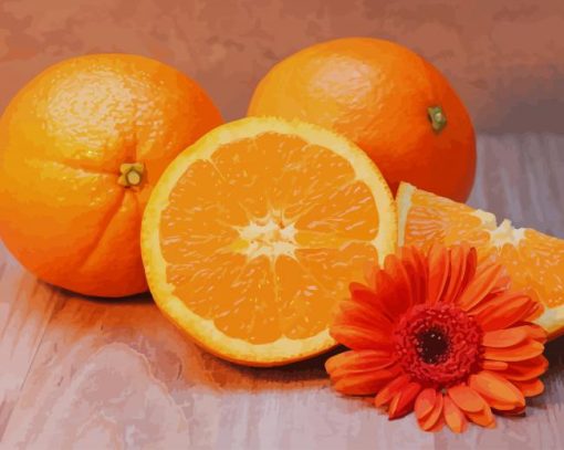 Oranges With Flowers paint by number