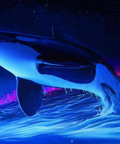 Orca Whale Night paint by number