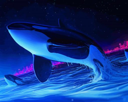 Orca Whale Night paint by number