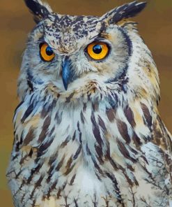 Owl Bird paint by numbers