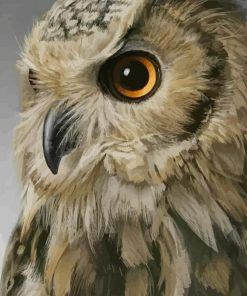 Owl Bird paint by numbers