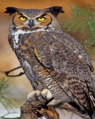 Owl Full Body paint by numbers